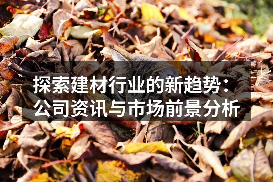 探索建材行业的新趋势：公司资讯与市场前景分析