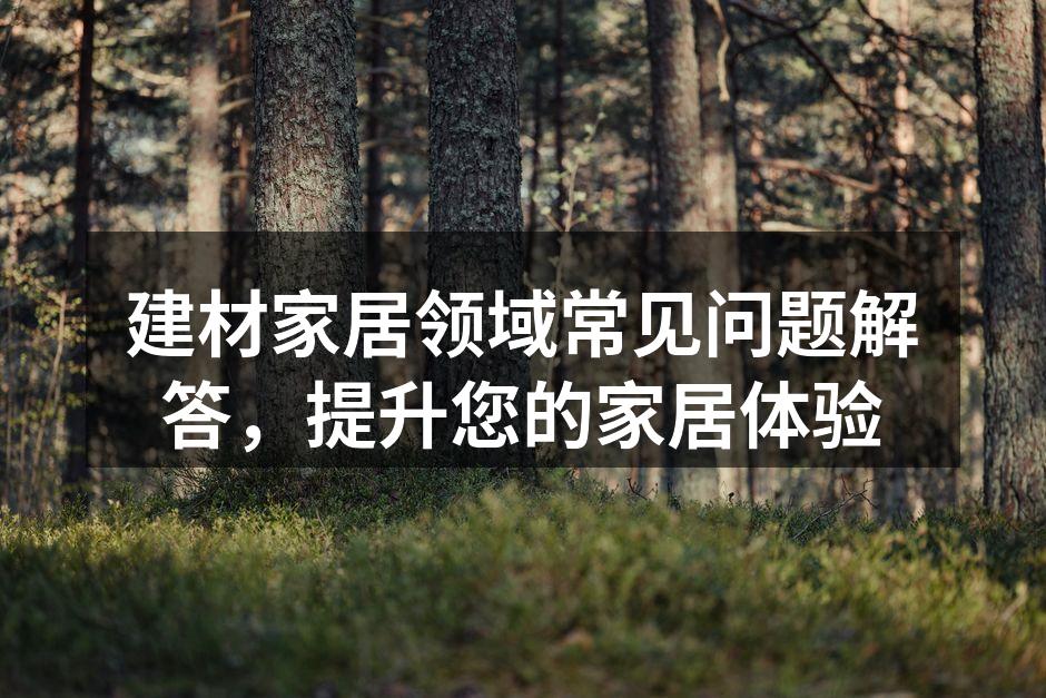 多样化的建材选择